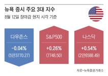 물가 둔화에 AI주 다시 날았다… 나스닥 0.5% 상승