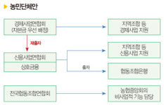 농협 개혁 3가지 안 비교