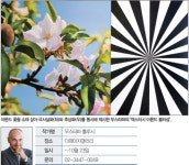 더페이지갤러리 ‘무스타파 훌루시’ 개인전…한 폭에 동일 소재 사실화·추상화로 담아