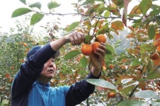 [인생 2막, skill] 사례 3. 農(농-귀농·귀촌) - 야간 강좌·주말농장…주독야경(晝讀夜耕) 시대