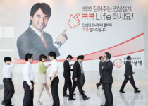 대한생명 재무설계 브랜드 콕콕라이프