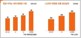 태양광 놓고 엇갈리는 삼성-LG의 전략…당장 발빼겠다(삼성) vs 사업확장 기회(LG)