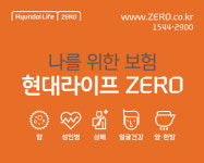 현대라이프 | 가입자에게 집중한 쉽고 규격화된 보험 출시