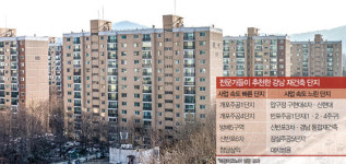 11·3 대책 이후 한파 부는 강남 재건축 개포주공·압구정지구 ‘저점 매수 기회’