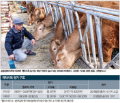 [FINANCE] 아는 사람만 한다는 이색재테크 ‘한우 위탁사육’ 2년 맡긴 후 되팔아 수익률 年5% “괜찮네”