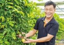 [기후변화에서 찾는 6차 농업의 기회] 경기 평택 백향과 재배 정영현 햇살농원 대표 “수입 냉동 대신 신선한 ‘백향과’ 드세요”