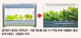 태풍마저 숨죽인 곳…스마트팜의 재발견