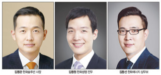 한화그룹 3형제 후계 윤곽 그렸다...태양광-금융-에너지로 정리