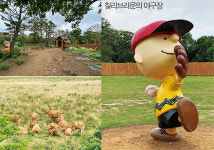 우연한 사색, 제주 꽃밭 여행