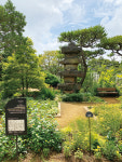 우연한 사색, 제주 꽃밭 여행
