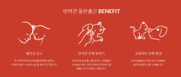 위드 코로나에 재택근무 끝이라니…반려견과 동반 출근하면 안 될까요?