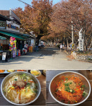 Travel | 언제나 초록 남쪽의 빛 담양 이야기