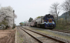 겨울과 봄 사이, 간이역 풍경...그곳에 천천히 흐르는 시간이 있다