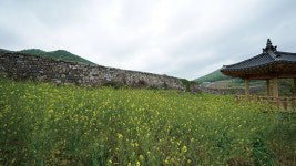 Travel | 남도는 진리다...큰 섬 진도