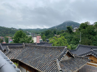 Travel | 무계동 ‘무계정사길’...이 계절, 이 길을 걷다