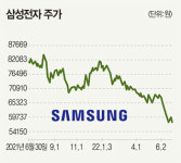 10만전자 꿈꾸던 국민주, 바닥은 어디?  삼성전자, 전망은 좋지만 4만전자 갈 수도