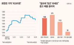 2030 골린이 이탈…골프채 매물 급증