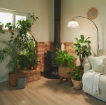 반려식물 인기에 주목받는 ‘히포팜텍’…식물생장용 LED 시장 주도