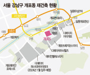 개포 재건축 2라운드…3만가구 강남 속 미니 신도시 탈바꿈 [재건축 임장노트] (12)
