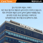 ‘오리무중’ 효성그룹···한때 황제주 올랐던 소재 사업, 지금은 [카드뉴스]