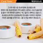 ‘오리무중’ 효성그룹···한때 황제주 올랐던 소재 사업, 지금은 [카드뉴스]