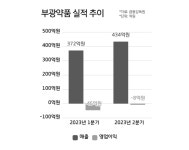 부광약품 ‘면역항암제 합작사’ 추가 출자...SAFE 방식 활용
