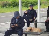 “윤석열, 한강공원서 반려견과 산책”…목격담 확산