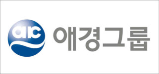 애경이 내놓은 M&A 매물 몸값 너무 높게 잡았나 [재계 TALK TALK]