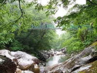 봄에 지리산 가면 꼭 먹는 이것…놓치면 후회할 제철음식 6선