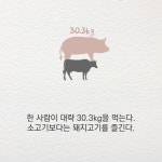 [30초 중국 읽기] 중국 돼지, 한국 식탁을 위협하다