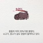 [30초 중국 읽기] 중국 돼지, 한국 식탁을 위협하다
