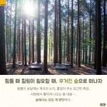 [카드뉴스] 여의도공원보다 6배 큰 봄날의 초록 왕국