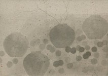 한지에 스며든 담백한 먹빛