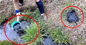 마실 물에…한우 130마리 분뇨 405t 버린 농장 등 54곳 적발