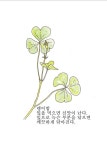 [소년중앙] 황경택 쌤과 자연이랑 놀자 15.애벌레