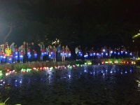 영주 ‘선비문화축제’, 공연‧체험 다양한 행사로 호평