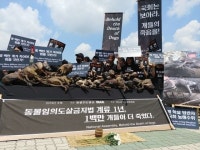 韓 개 먹지말라는 킴 베이싱어…옆엔 개고기 시식회 열렸다