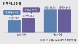 [뉴스분석]앞으로가 더 걱정되는 노란번호판과 흰번호판 상생