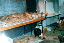 일본 731부대 희생자 영혼, 아직도 도쿄 신주쿠를 떠돈다