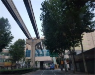 모노레일 대구3호선 개통 4년...선로 침범 가로수를 어찌할꼬