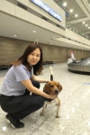 [김기환의 나공⑫] 아프리카돼지열병 이상 無…인천공항 철통방어 검역관