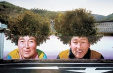 대박난 동백나무 파마머리 벽화…그집 70대 노부부가 모델