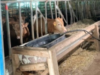 제주 소·돼지 축사 10곳 중 7곳 무허가…한림정수장 폐쇄 위기