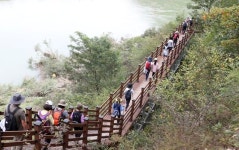 [사진] 올림픽 아리바우길 걷기 축제