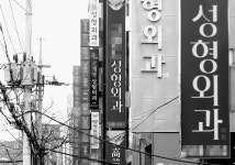 건강보험 진료 0 의료기관, 강남 성형외과에 몰려있다