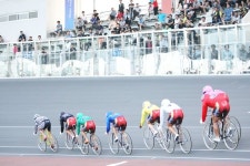 매출 대폭 감소한 부산·창원 경륜장,올해 잔여 경기 모두 중단