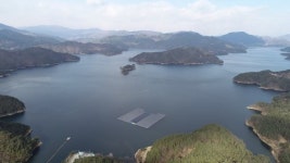 호수에 뜬 태양광 모듈 8000개…녹조 대신 치어떼 몰려든다