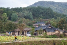 공짜로 즐기는 화진포·송지호 자전거 나들이