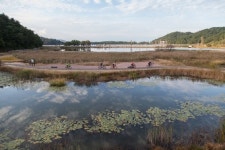 부산·충주·담양·진주·고성…자전거 여행이 공짜인 고장들