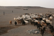 울란바토르 극심한 대기오염과 한반도 황사는 한 뿌리